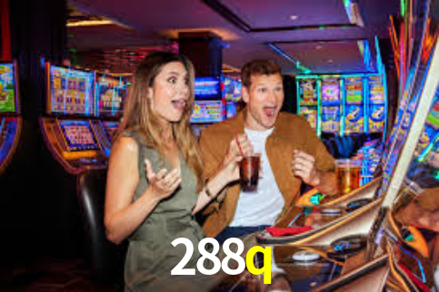 Premium Interface 288q